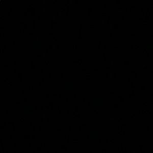 Meet your Posher, Cheyenne